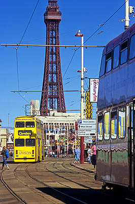 ENG: Manchester-Liverpool Urban Area, Blackpool Borough, The Golden Mile, Omnibus trams runs in front of the Tower [Ask for #262.014.]