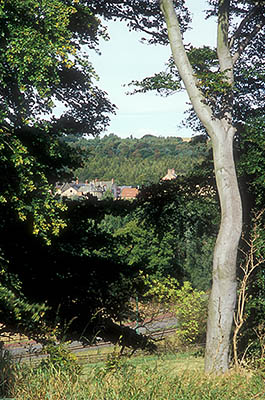 ENG: Northumbria Region, Durham, Beamish, The North of England Open Air Museum, Pockerley Manor, View towards The Town [Ask for #262.310.]