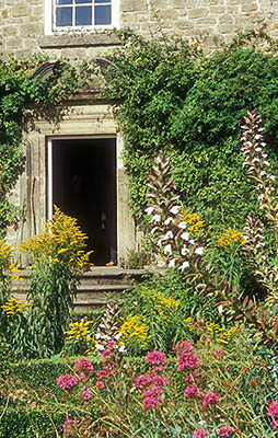 ENG: Northumbria Region, Durham, Beamish, The North of England Open Air Museum, Pockerley Manor, Garden, c 1825, in front of modest stone-built manor; fall blooms [Ask for #262.312.]