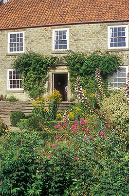 ENG: Northumbria Region, Durham, Beamish, The North of England Open Air Museum, Pockerley Manor, Garden, c 1825, in front of modest stone-built manor; fall blooms [Ask for #262.313.]