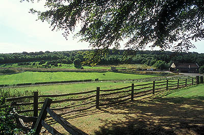 ENG: Northumbria Region, Durham, Beamish, The North of England Open Air Museum, Pockerley Manor, View towards the Pockerley Waggonway, with c.1815 locomotive in operation [Ask for #262.317.]