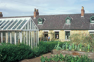 ENG: Northumbria Region, Durham, Beamish, The North of England Open Air Museum, The Colliery, The Pit Cottages; mine workers row houses with front gardens, c. 1913; champion leeks in lazy beds [Ask for #262.335.]