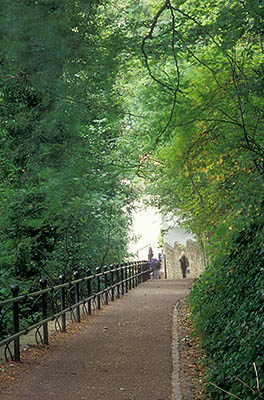 ENG: Northumbria Region, Durham, Durham Borough, Medieval Durham, People [motion-blurred] walk up a paved path in the forested park beside the River Wear. [Ask for #262.356.]