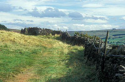 ENG: Northumbria Region, Durham, Stanhope, A stone wall runs through rough grazing, with views over the Upper Wear Valley [Ask for #262.386.]