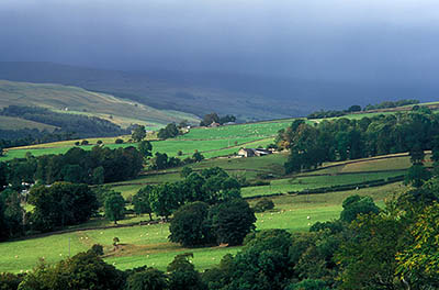 ENG: Northumbria Region, Durham, Stanhope, Wide view over the Upper Wear Valley, showing stone walls and farmsteads; storm clouds over the Pennines in the background [Ask for #262.389.]