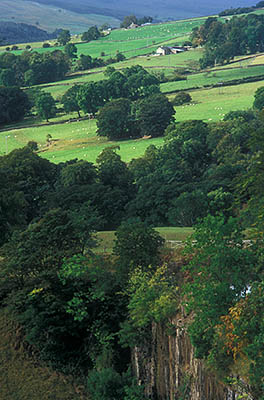 ENG: Northumbria Region, Durham, Stanhope, Wide view over the Upper Wear Valley, from the top of an abandoned strip mine, showing the mine's sheer upper wall. [Ask for #262.390.]