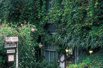 ENG: The Northwest Region, Cumbria, Lake District National Park, Windermere Area, Windermere Town, A terrace house in town center, made of native slate and covered with ivy and roses in bloom, displays a bed and breakfast sign [Ask for #262.410.]