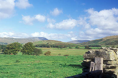 ENG: The Northwest Region, Cumbria, Lake District National Park, Windermere Area, Countryside near Windermere, View over meadows towards the moor lands and fells of the central Cumbrian Mountains [Ask for #262.421.]