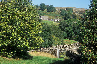 ENG: The Northwest Region, Cumbria, Lake District National Park, Central Lakes Area, Troutbeck, View across dry laid stone walls toward a traditional Cumbrian farmstead, with a stone farm house and a stone barn [Ask for #262.424.]