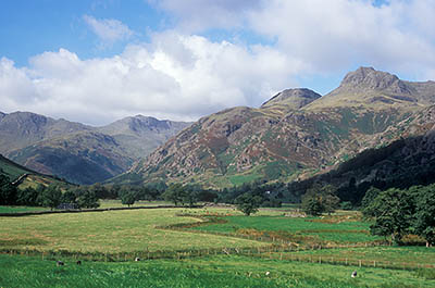 ENG: The Northwest Region, Cumbria, Lake District National Park, Central Lakes Area, Great Langdale, View over valley meadows towards the high, cliff-sided mountain peaks of Crinkle Crags (ctr) and Langdale Pikes (rt) [Ask for #262.432.]