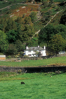 ENG: The Northwest Region, Cumbria, Lake District National Park, Central Lakes Area, Great Langdale, A whitewashed stone-built farmhouse sits in rich meadows, with the fells looming behind it [Ask for #262.435.]