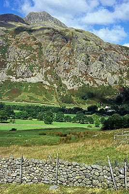 ENG: The Northwest Region, Cumbria, Lake District National Park, Central Lakes Area, Great Langdale, View over a dry-laid stone wall, at Great Langdale's western end, known as Mickleden, and Langdale Pikes in bkgrd [Ask for #262.440.]