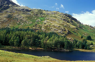 ENG: The Northwest Region, Cumbria, Lake District National Park, Central Lakes Area, Little Langdale, Blae Tarn, a small natural lake formed by glaciation [Ask for #262.442.]