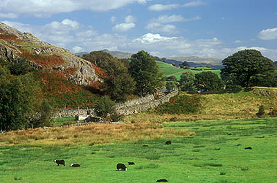 ENG: The Northwest Region, Cumbria, Lake District National Park, Central Lakes Area, Little Langdale, Farmland at the foot of Wrynose Pass [Ask for #262.444.]