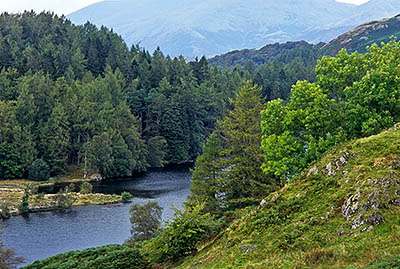 ENG: The Northwest Region, Cumbria, Lake District National Park, Furness Fells, Tarn Hows (NT), View of The Tarns, a natural lake, part of a large tract given to the National Trust by Beatrix Potter. [Ask for #262.512.]