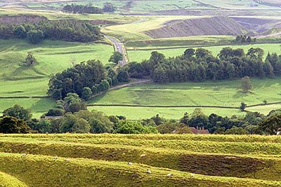 ENG: Northumbria Region, Durham, Stanhope, View across an abandoned strip mine, over the rich Stanhope Valley, to an active strip mine on the opposite slope. [Ask for #262.533.]