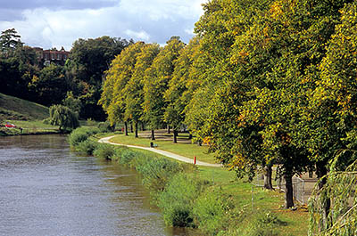 ENG: West Midlands Region, Shropshire, Shrewsbury and Atcham District, Shrewsbury, The River Severn, with the tree-lined paths of The Quarry (park) on the right [Ask for #262.558.]