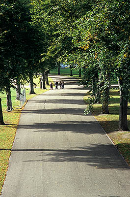 ENG: West Midlands Region, Shropshire, Shrewsbury and Atcham District, Shrewsbury, The tree-lined paved path, called "Victoria Avenue", runs along the River Severn in The Quarry (park) [Ask for #262.559.]