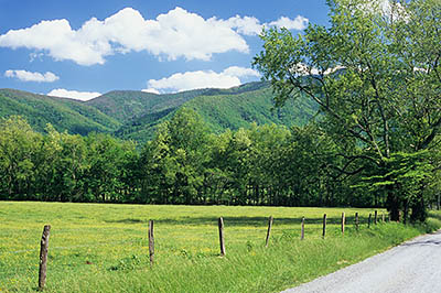 TN: The Great Smoky Mtns Region, Blount County, Great Smoky Mountains Nat. Park, Cades Cove, Hyatt Lane, Spring view across gravel surfaced lane towards the cove and the Great Smoky Mountains [Ask for #264.027.]