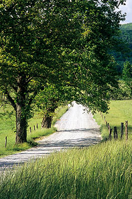 TN: The Great Smoky Mtns Region, Blount County, Great Smoky Mountains Nat. Park, Cades Cove, Hyatt Lane, Spring view across gravel surfaced tree-lined lane towards the cove and the Great Smoky Mountains [Ask for #264.029.]