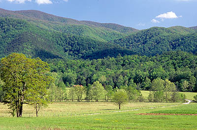 TN: The Great Smoky Mtns Region, Blount County, Great Smoky Mountains Nat. Park, Cades Cove, Hyatt Lane, Spring view across lane towards the cove and the Great Smoky Mountains and the Dan Lawson Place (log cabin and barn) [Ask for #264.030.]