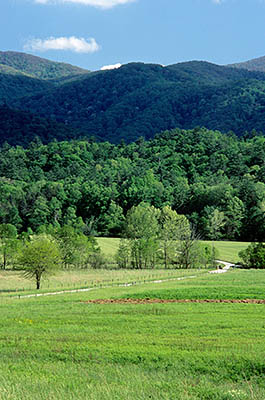 TN: The Great Smoky Mtns Region, Blount County, Great Smoky Mountains Nat. Park, Cades Cove, Hyatt Lane, Spring view across lane towards the cove and the Great Smoky Mountains [Ask for #264.032.]