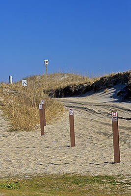 North Carolina: North Coast Region, Dare County, Hatteras National Seashore, Cape Hatteras, Cape Point, ORV track in deeply rutted sand, leading to the beach, is marked with signs [Ask for #267.086.]