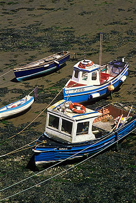 ENG: South West Region, Cornwall, Penzance Area, Newlyn, Newlyn Harbour, Boats in the harbor at low tide [Ask for #268.179.]