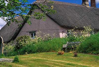 ENG: South West Region, Devon, Dartmoor National Park, Dartmoor's Eastern Edge, Drewsteignton, Thatched cottages viewed from the churchyard [Ask for #268.292.]