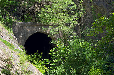 MD: Allegany County, Potomac River, Green Ridge State Forest, Green Ridge, Stickpike Tunnel, on the Western Maryland Railroad (abandoned) [Ask for #269.072.]