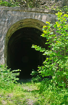 MD: Allegany County, Potomac River, Green Ridge State Forest, Green Ridge, Stickpike Tunnel, on the Western Maryland Railroad (abandoned) [Ask for #269.074.]