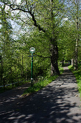 ENG: West Midlands Region, Staffordshire, The Trent Valley, Burton-on-Trent, Stapenhill District, Paths descend the bluffs of  the River Trent towards The Washlands [Ask for #270.017.]