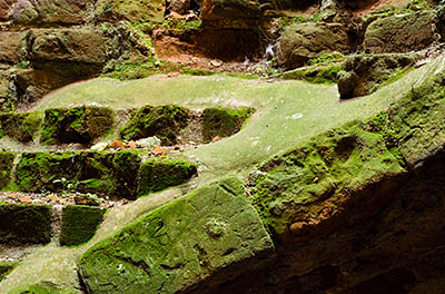 ENG: East Midlands Region, Leicestershire, Leicester Area, Leicester City, Kirby Muxloe Castle (EH), Spiral staircase inside its ruinous keep; close-up of broken steps coverred in moss [Ask for #270.024.]