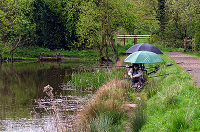 ENG: East Midlands Region, Leicestershire, Northwest Leicestershire, Coalville, Snibston Country Park, Snibston Grange Nature Reserve, formerly a coal mine waste site, now restored as ponds; fishermen. [Ask for #270.044.]