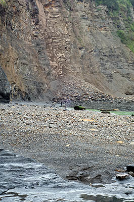 ENG: Yorkshire & Humberside Region, North Yorkshire, North Yorkshire Coast, Sea Cliffs, Robin Hood's Bay, The bay and cliffs, near the village, at low tide. [Ask for #270.085.]