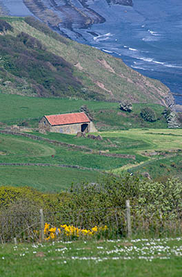 ENG: Yorkshire & Humberside Region, North Yorkshire, North Yorkshire Coast, Sea Cliffs, Ravenscar, Isolated farm atop cliffs that surround Robin Hoods Bay [Ask for #270.111.]