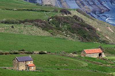 ENG: Yorkshire & Humberside Region, North Yorkshire, North Yorkshire Coast, Sea Cliffs, Ravenscar, Isolated farm atop cliffs that surround Robin Hoods Bay [Ask for #270.113.]