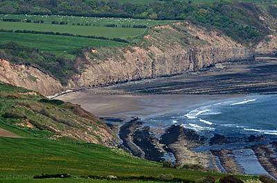 ENG: Yorkshire & Humberside Region, North Yorkshire, North Yorkshire Coast, Sea Cliffs, Ravenscar, The cliffs that surround Robin Hoods Bay [Ask for #270.114.]