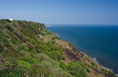 ENG: Yorkshire & Humberside Region, North Yorkshire, North Yorkshire Coast, Sea Cliffs, Ravenscar, Cliffs at the Victorian resort development of Ravenscar (now mostly abandoned) [Ask for #270.120.]