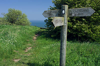 ENG: Yorkshire & Humberside Region, North Yorkshire, North Yorkshire Coast, Sea Cliffs, Ravenscar, Signpoast on The Cleveland Way, a long distance footpath, points to the Ravenscar Tea Rooms, as the path follows cliffs. [Ask for #270.123.]