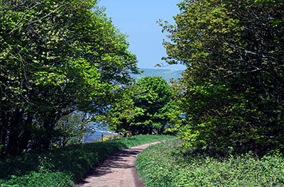 ENG: Yorkshire & Humberside Region, North Yorkshire, North Yorkshire Coast, Sea Cliffs, Ravenscar, Clifftop footpath [Ask for #270.125.]