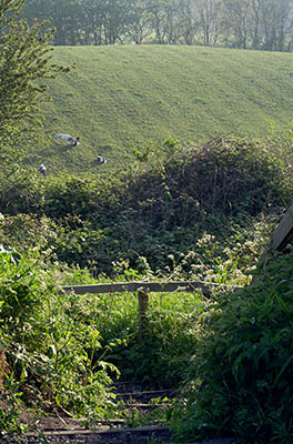 ENG: Yorkshire & Humberside Region, North Yorkshire, North Yorkshire Coast, Whitby, The Cinder Track, a rail-trail, A footpath leads down into meadows on steps [Ask for #270.210.]