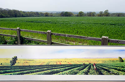 ENG: East Midlands Region, Leicestershire, Western Leicestershire, Shenton, Bosworth Battlefield Heritage Centre, An exhibit, in front of a wide view of the battlefield, shows how the view appeared as the battle raged [Ask for #270.254.]