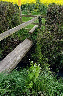 ENG: East Midlands Region, Leicestershire, Western Leicestershire, Shenton, Fenn Lane, Bothworth Field battle site, A stile and footpath from Fenn Lane, a Roman road, leads through rape seed fields in bloom at the exact site of Bosworth Fields [Ask for #270.260.]