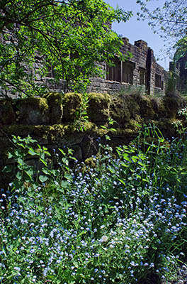 ENG: The Northwest Region, Lancashire, The Pennines, Pendle, Wycoller Country Park, 18th c. Wycoller Hall, in ruinous condition, was the model for Ferndean Manor in "Jane Eyre". The Bronte Way and Pennine Bridleway pass. [Ask for #270.309.]