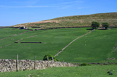 ENG: Yorkshire & Humberside Region, West Yorkshire, Bradford Borough, Haworth, Haworth Moors, A ruined farmstead sits on the moor's edge, reminiscent of Wuthering Heights [Ask for #270.324.]