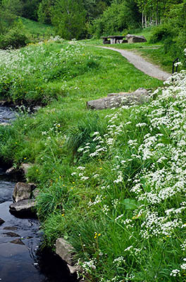 ENG: The Northwest Region, Lancashire, The Pennines, Rossendale, Stacksteads, The Irwell Sculpture Trail; sculpture picnic area on the River Irwell. The columns in the foreground are abandoned factory rollers, not sculptures [Ask for #270.360.]