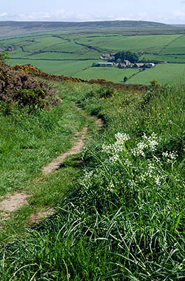 ENG: Yorkshire & Humberside Region, West Yorkshire, Calderdale Borough, Hebden Bridge, Haworth Moors, View over the moors; a farm track runs from hedged farmlands to wild moors, with an isolated Pennine farmstead [Ask for #270.402.]