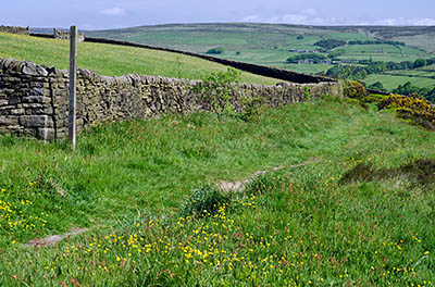 ENG: Yorkshire & Humberside Region, West Yorkshire, Calderdale Borough, Hebden Bridge, Haworth Moors, Footpath leads to the open moors [Ask for #270.404.]