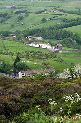 ENG: Yorkshire & Humberside Region, West Yorkshire, Bradford Borough, Haworth, Haworth Moors, View from the open moors to the settled lands [Ask for #270.425.]